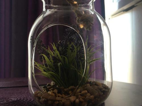 Apartament Amy