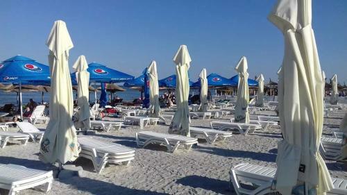 Apartament Stefan Alexandru