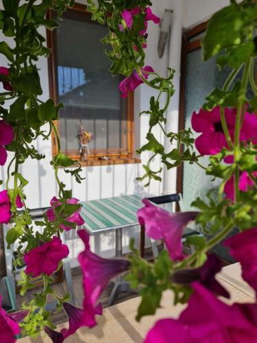 Apartamento Dolcevita