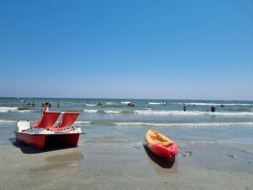 Apartamento Delfinul 2 Summer Relax