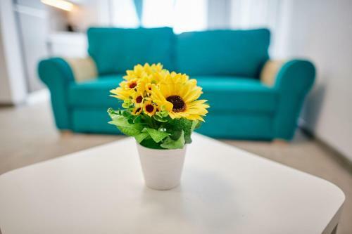 Apartamento Sea Love Apt Spa N Pools Beach Resort