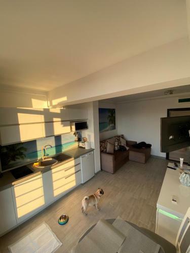 Apartament Edu Alezzi Beach Resort
