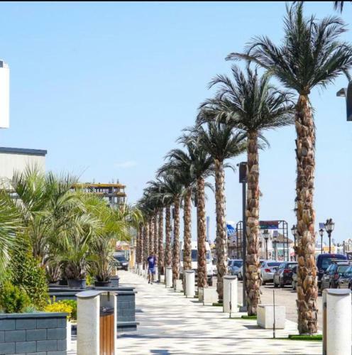 Sunshine 1 Br Apartment Spa N Pool Alezzi Beach Resort