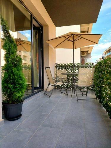 Apartament David