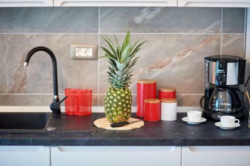 Velvet Beach Apartment Spa N Pool Alezzi Beach Resort