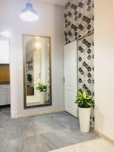 Zen Apartments Oradea