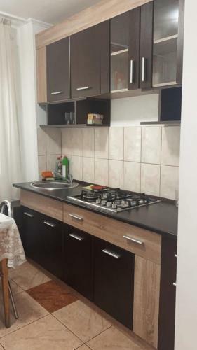 Oradea Apartment