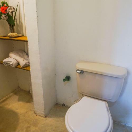 Hostal Ecocaba�a Rosa Mar�a