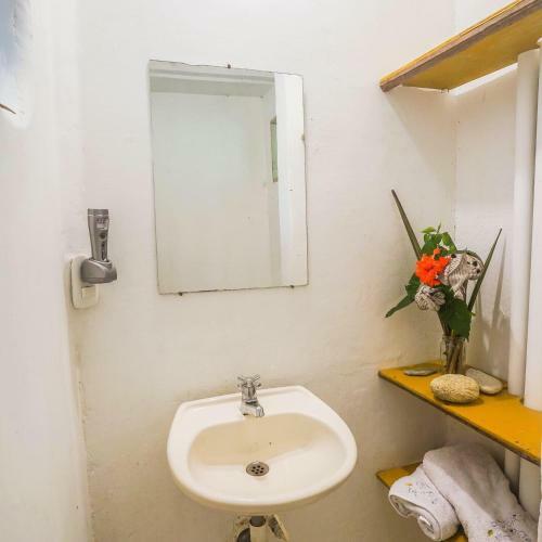 Hostal Ecocaba�a Rosa Mar�a
