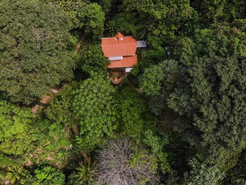 Hostal Ecocaba�a Rosa Mar�a