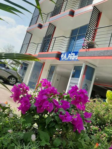 Hotel Ejecutivo San Pedro By Mar Azul