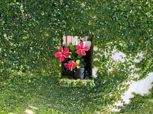 Villa Papilio Vacaciones Id�licas Para Parejas