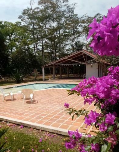 Villa Finca La Dacha