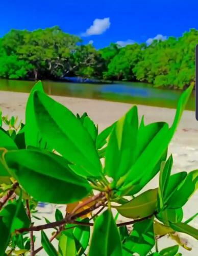 P� Na Areia