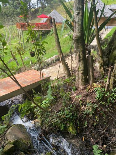 Malokas Agua Vida & Naturaleza