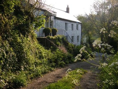 Spring Cottage B&B