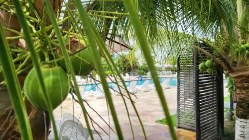 Apartamento Palm Village - Porto de Galinhas