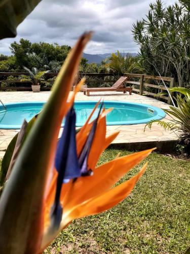 Casa Com Piscina E Vista Para Lagoa _casa Sap�