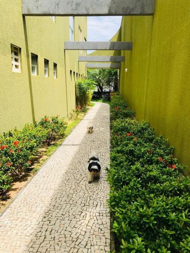 Apartamento Studio Iracema - Apto 1502