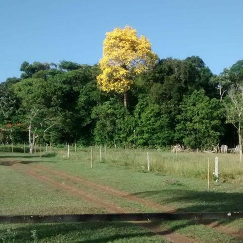 Lodge Pousada Fazenda Rancho S�mani