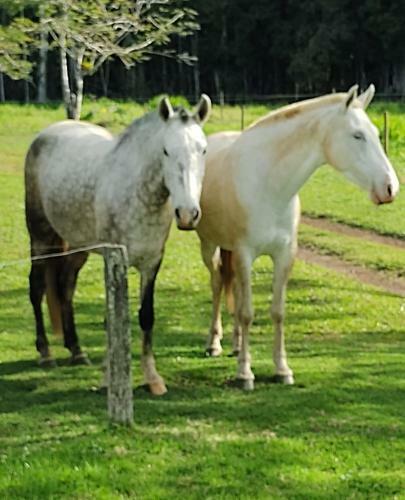 Lodge Pousada Fazenda Rancho S�mani
