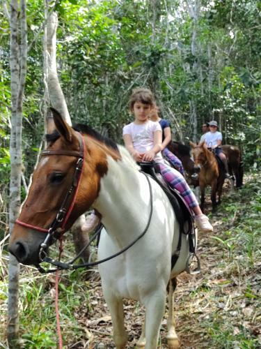 Lodge Pousada Fazenda Rancho S�mani
