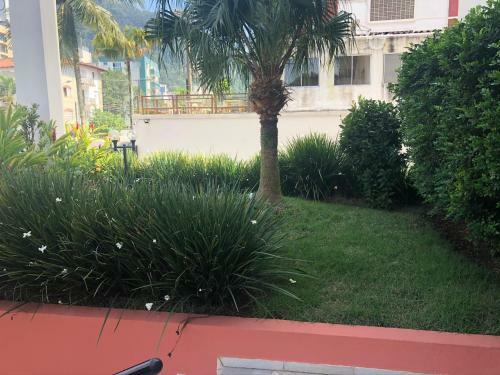 Apartamento Guaruj�