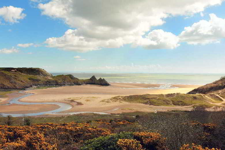 The Gower Hotel