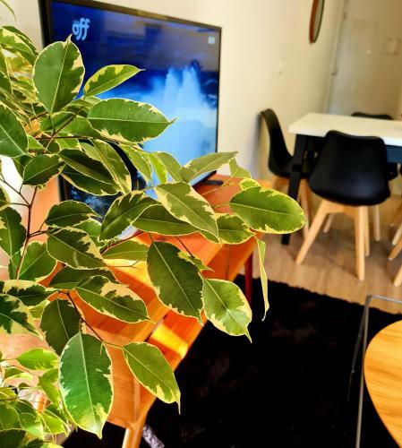 Apartamento Loft Gramado