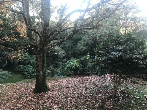 Apartamento Floresta Encantada, O Seu Sonho Em Gramado!