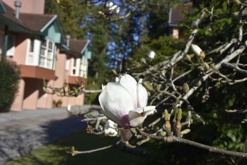 Apartamento Floresta Encantada, O Seu Sonho Em Gramado!