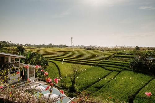 Hotel Boho Canggu