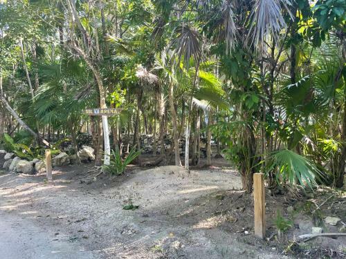 Villa Sol Y Arena Xcalak