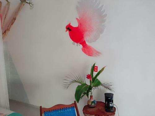 Posada Ixchel