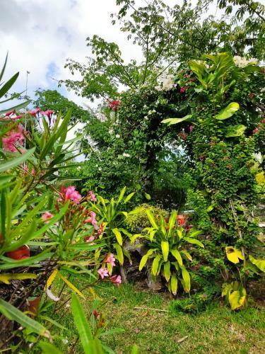 Posada Ixchel