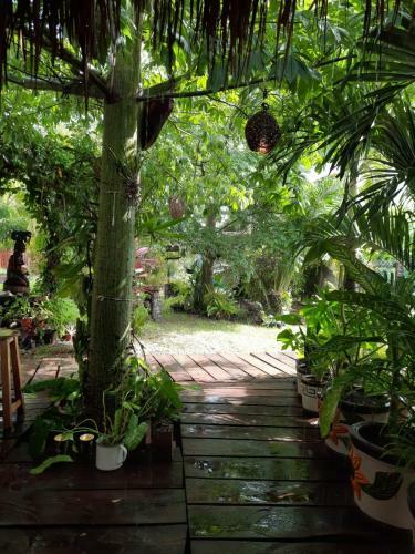 Posada Ixchel