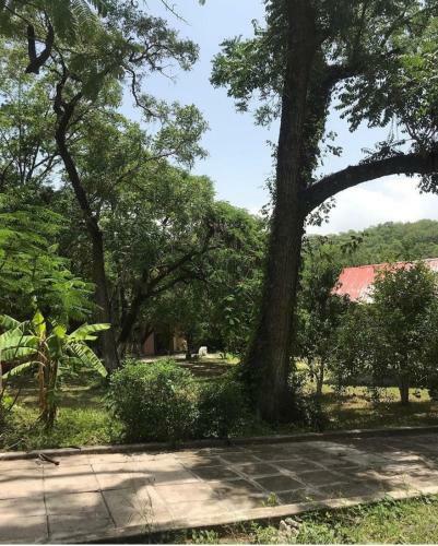 Caba�as El Sabinito