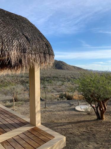 Hotel Caba�as 33 1/3 Room C