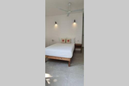 Apartamento Ana En Jungla Zipolite Con Entrada Independiente