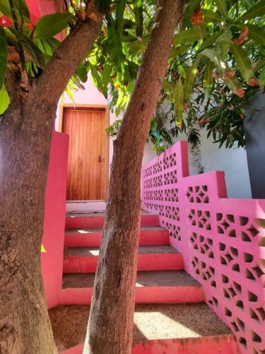 Apartamento Jungla Zipolite Departamento Fatima