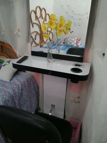 Casa Cats