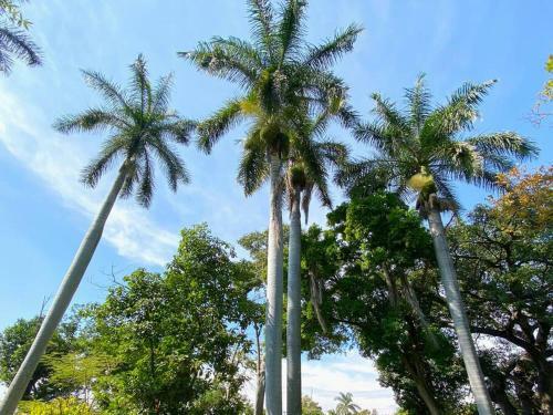 Villa Hermosa Quinta A 20min de Cuernavaca(Pet Friendly)