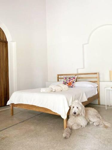 Villa Hermosa Quinta A 20min de Cuernavaca(Pet Friendly)