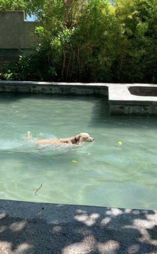 Villa Hermosa Quinta A 20min de Cuernavaca(Pet Friendly)