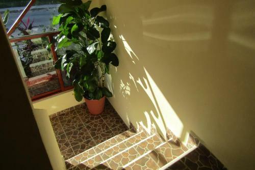 Hotel Nicte-ha