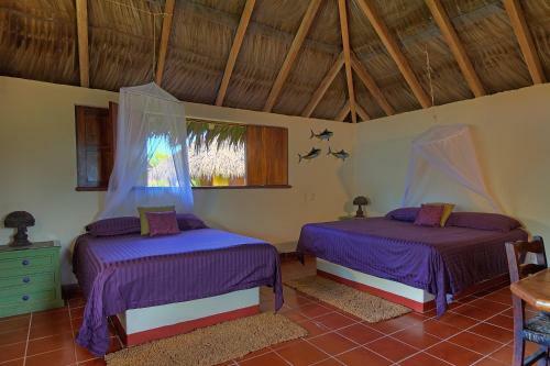 Hotel The Resort At Majahua Palms