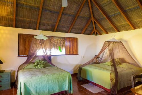 Hotel The Resort At Majahua Palms