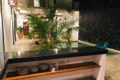 Villa Casa Diego Unique Ecological / Minimalist House & Inside Pool