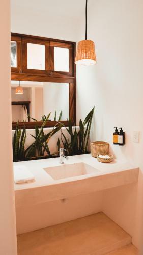 Hotel Casa Kuaa