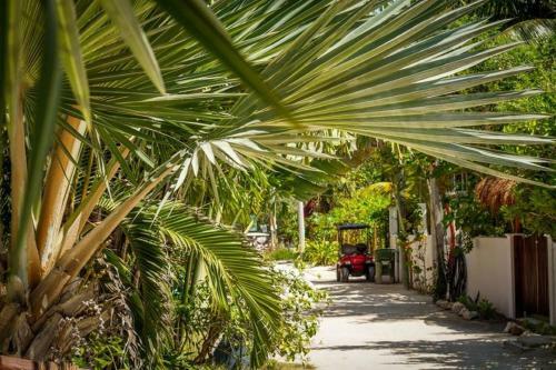 Apartamento Los Depas Del Aeropuerto Holbox